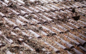 Swanwick Green roof cleaning companies