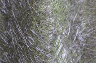 Swanwick Green fibreglass roof work